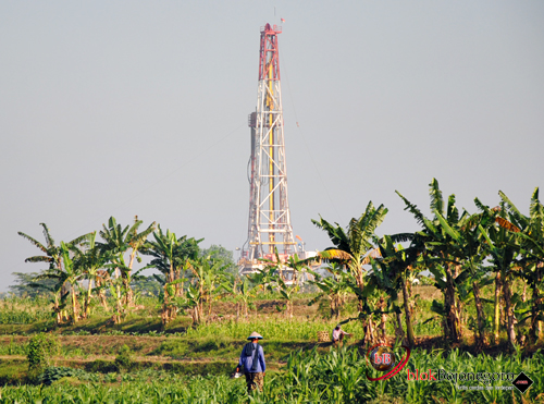 Harga Minyak Dunia Naik ke Level US$ 55,95 per Barel